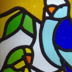 Beginners Course January 2026
28/1 – 11/3/2026
Wednesday Evenings
6 - 8:30pm